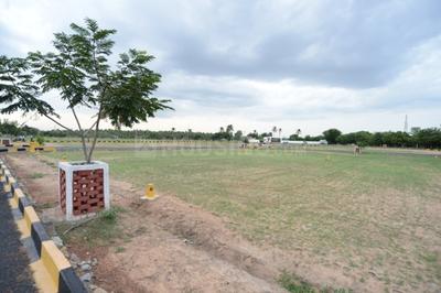 Residential Plot