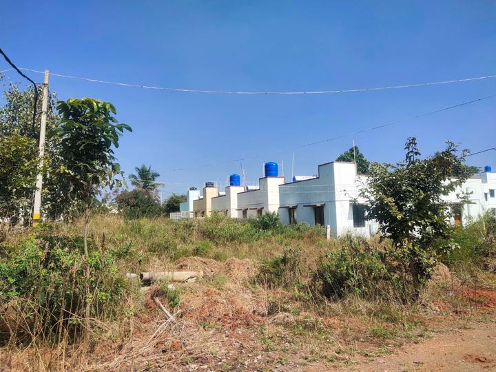 Attibele Main Image 1