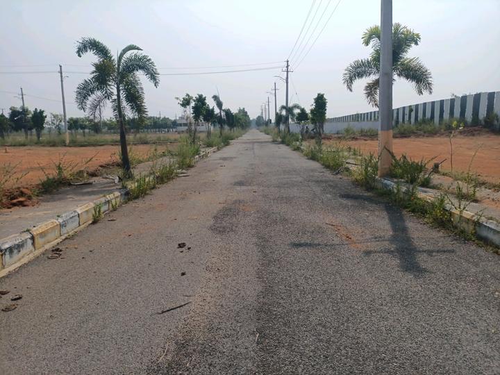 AVANTHIKA BHANUR Main Image 1