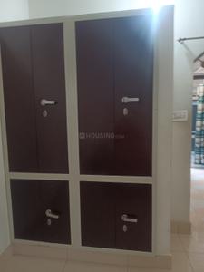 Bedroom Image of 800 Sq.ft 2 BHK Apartment / Flat for rent in Jai Narayan Vyas Colony Bikaner for Rs. 11000