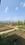 Investors Dhaulas Nature Farms Main Image 1