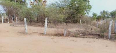 Image of 303 Sq.ft Residential Plot / Land for sale in Bheemaram, Warangal for Rs. 6200000