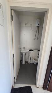 Bathroom Image of 570 Sq.ft 2 BHK Apartment / Flat for rent in Godrej Infinity, Mundhwa Pune for Rs. 38000