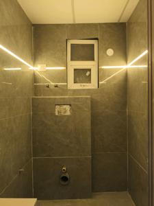Common Bathroom Image of 700 Sq.ft 1 BHK Apartment / Flat for sale in Trinity High Street South Avenue, Noida Extension Greater Noida for Rs. 2900000