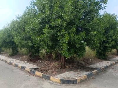 Devender Colony Plot View 2