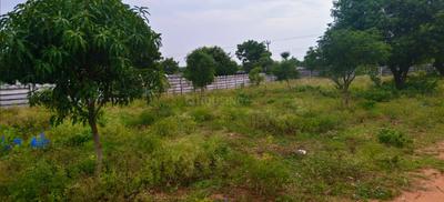 Agricultural Land
