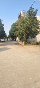 Venus Silicon City AA Plot View 1