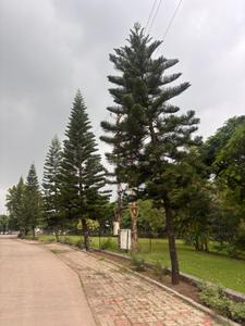 Image of 2800 Sq.ft Residential Plot / Land for sale in Apollo Golf Links Sector C Extension And E Extension, Kanadiya, Indore for Rs. 19040000