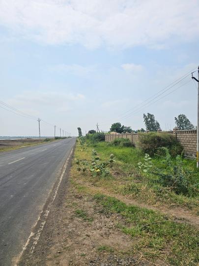 Dholera 7 Ocean blues Main Image 1