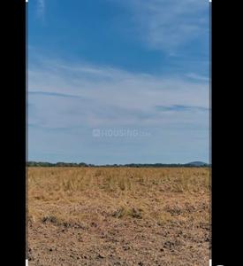 Image of 1800 Sq.ft Residential Plot / Land for sale in New Chandigarh, Chandigarh for Rs. 17000000