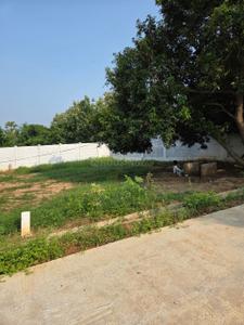 Image of 167 Sq.ft Residential Plot / Land for sale in Anandapuram, Visakhapatnam for Rs. 4175000