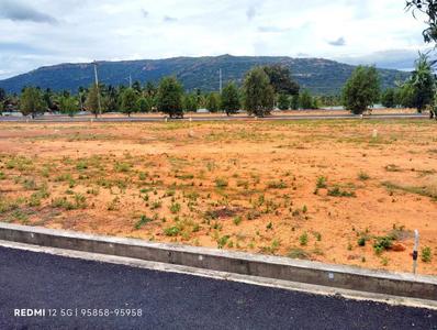 Residential Plot