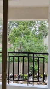 Balcony Image of 1100 Sq.ft 2 BHK Apartment / Flat for sale in MGR Sahaj Residency Phase 2, Tejpur Gadbadi Indore for Rs. 4200000