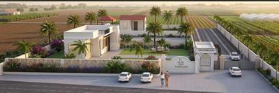Dhankya Plot View 1