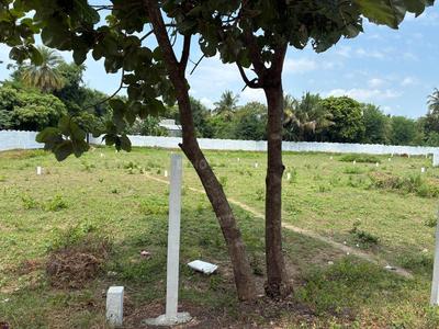 Uthiramerur Plot View 2