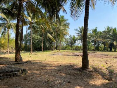 Image of 12000 Sq.ft Residential Plot / Land for sale in Nagaon, Alibag for Rs. 14400000