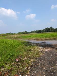 Image of 1440 Sq.ft Residential Plot / Land for sale in Natures Paradise, Joka, Kolkata for Rs. 339999