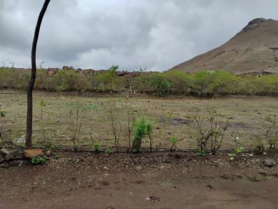 Raigadnagar Plot View 1