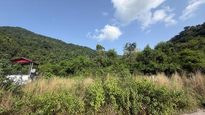 Image of 1705 Sq.ft Residential Plot / Land for sale in Sahastradhara, Dehradun for Rs. 9100000