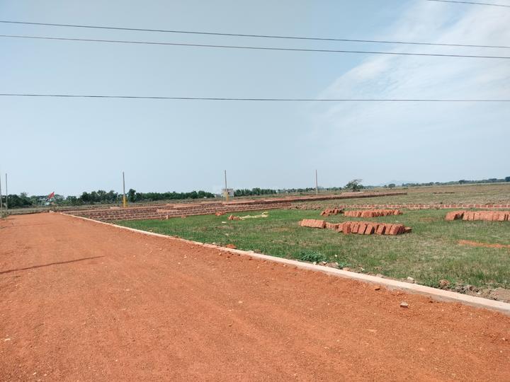 Orakal Main Image 1