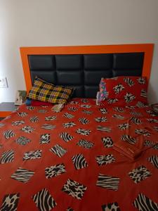Bedroom Image of 780 Sq.ft 2 BHK Apartment / Flat for rent in Kohinoor Tinsel Town, Hinjawadi Phase 2 Pune for Rs. 35000