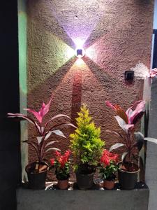 Balcony Image of 1001 Sq.ft 2 BHK Independent House for sale in Platinum Sky City, Mayakhedi Indore for Rs. 4250000