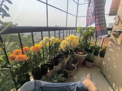 Balcony Image of 1100 Sq.ft 2 BHK Apartment / Flat for sale in Keshob Meghmala Apartment, Sabuj Nagar Durgapur for Rs. 2900000
