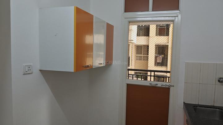 DB Ozone Main Image 1