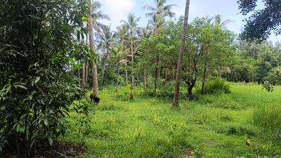 Brahmavar Plot View 1