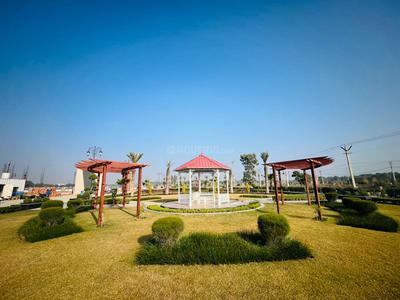 Residential Plot