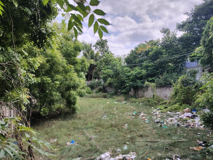 J Nagar Main Image 1