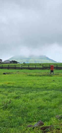 Takeghoti Main Image 1