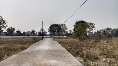 Image of 1750 Sq.ft Residential Plot / Land for sale in Sendri, Bilaspur for Rs. 2450000