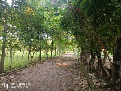 Image of 1250 Sq.ft Residential Plot / Land for sale in Kumhari, Bhilai for Rs. 2000000