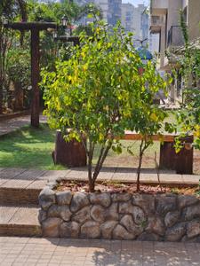 Image of 1100 Sq.ft 2 BHK Apartment / Flat for sale in Proviso Heights, Ulwe, Navi Mumbai for Rs. 13500000