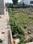 Nirmal Bag Plot View 2