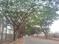 Paradise Attibele Road Plot View 2