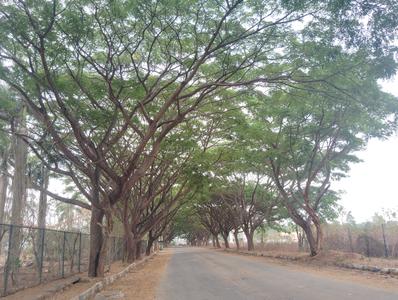 Image of 1672 Sq.ft Residential Plot / Land for sale in Chandapura, Bengaluru for Rs. 7942000