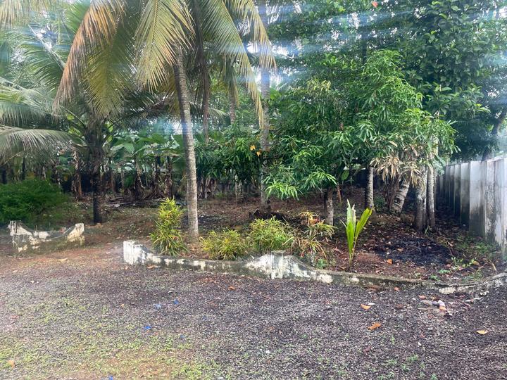 Thiruvalla Main Image 1