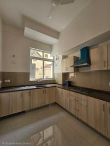Kitchen Image of 3600 Sq.ft 4.5 BHK Builder Floor for rent in Emaar Emerald Hill, Sector 65 Gurgaon for Rs. 74000