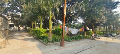 Venus Silicon City AA Plot View 2