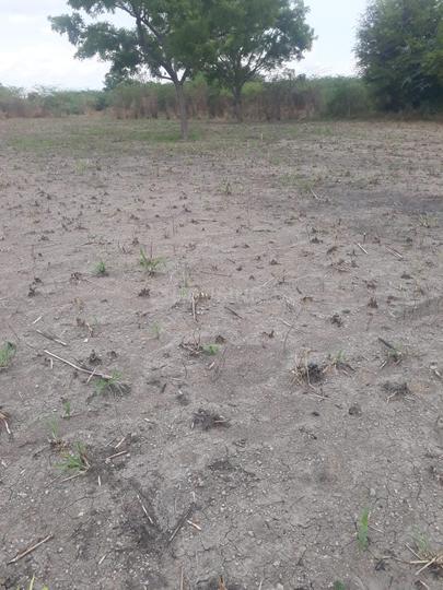 Tirumangalam Main Image 1