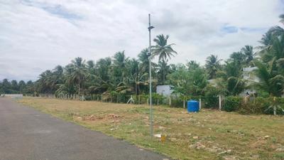 Image of 435 Sq.ft Residential Plot / Land for sale in Unjavelampatti, Pollachi for Rs. 525000