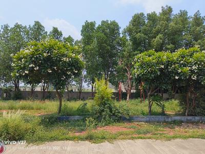 Mayakhedi Plot View 1