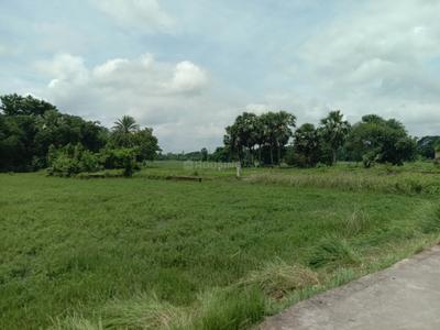 Residential plot Sonarpur Plot View 1