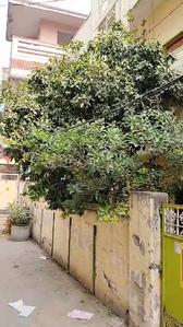 Gurubagh Plot View 1