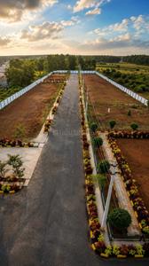 Residential Plot