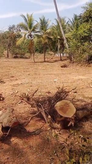 Moodbidri Main Image 1