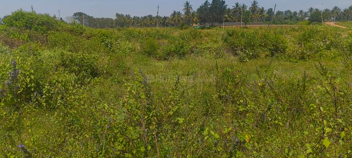 Shanti layout Main Image 1