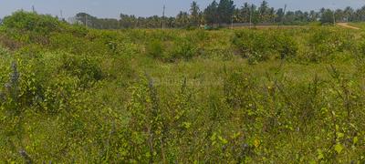 Image of 906 Sq.ft Residential Plot / Land for sale in Santhi Nagar, Hassan for Rs. 1450000